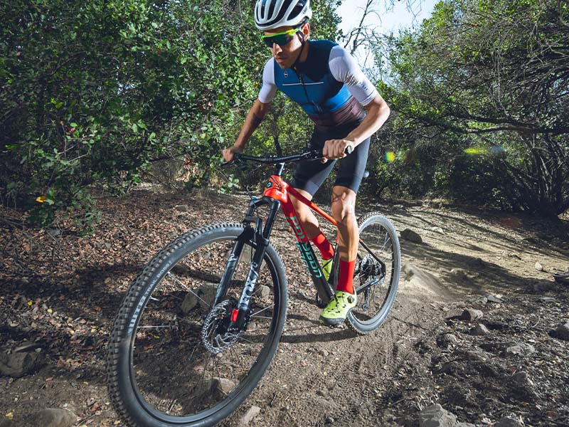 Petualangan Lebih Seru Bersama Sepeda Gunung Hardtail Petualangan Lebih Seru Bersama Sepeda Gunung Hardtail