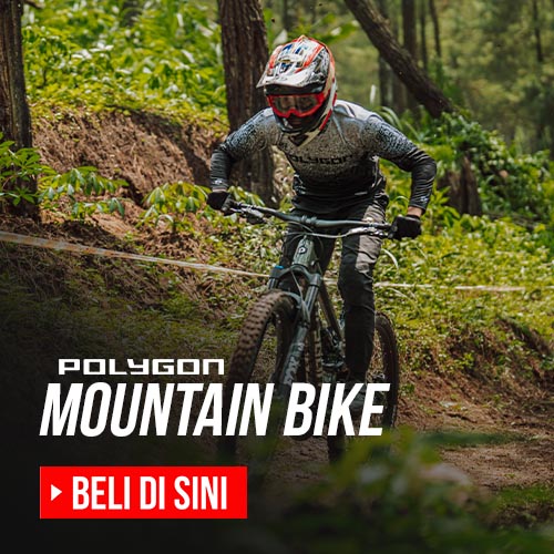 Polygon Mountain Bike Polygon Mountain Bike