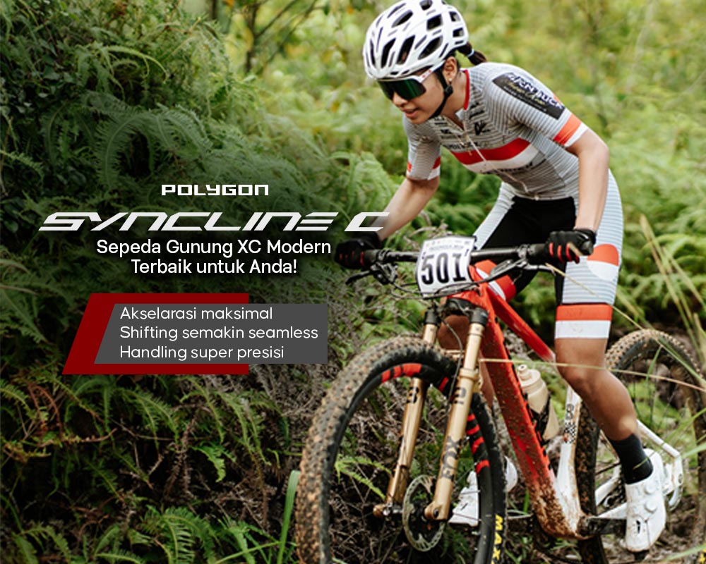 Sepeda gunung Polygon Syncline: MTB XC paling pas untuk Anda Sepeda gunung Polygon Syncline: MTB XC paling pas untuk Anda
