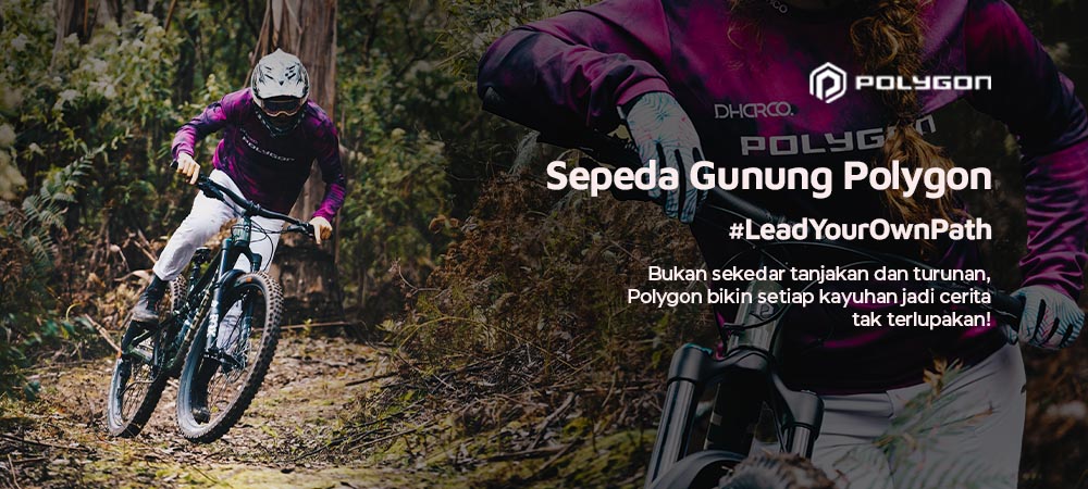 Koleksi terbaik sepeda gunung Polygon Koleksi terbaik sepeda gunung Polygon