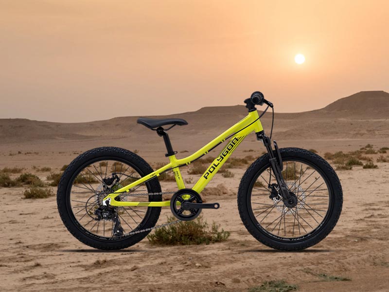 Sepeda gunung anak Polygon Relic 20 Sepeda gunung anak Polygon Relic 20