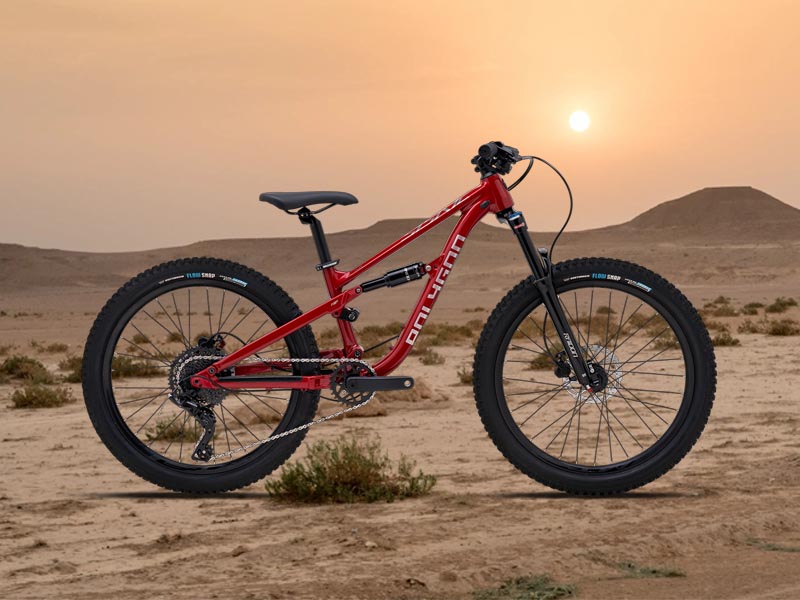 Sepeda gunung anak Polygon Siskiu D24 Sepeda gunung anak Polygon Siskiu D24