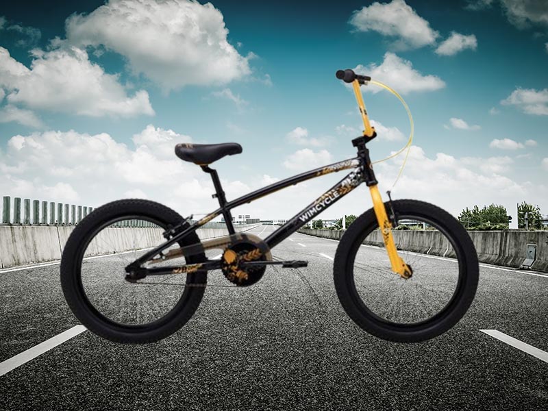 Sepeda BMX Wimcycle Thrasher 20 Sepeda BMX Wimcycle Thrasher 20