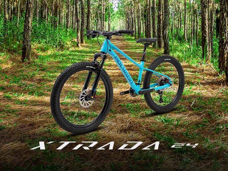 Sepeda gunung anak Polygon Xtrada 24 Sepeda gunung anak Polygon Xtrada 24