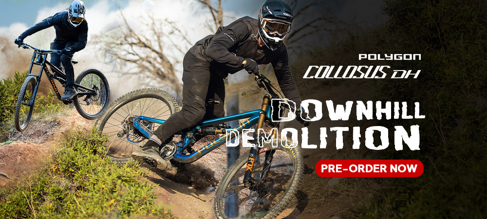 Polygon Collosus DH Pre-Order