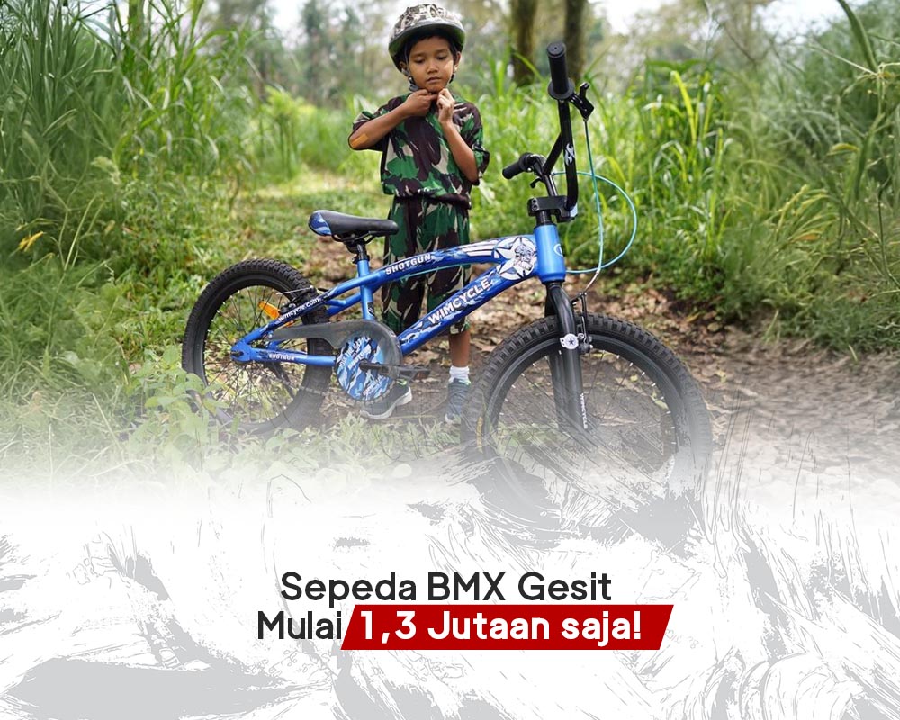 Sepeda BMX untuk opsi anti mainstream Sepeda BMX untuk opsi anti mainstream