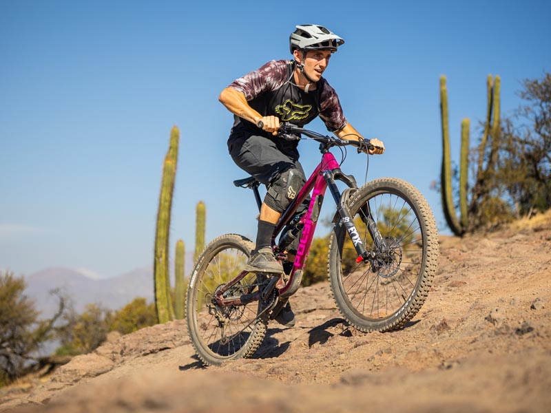 Eksplorasi alam dengan sepeda gunung Eksplorasi alam dengan sepeda gunung