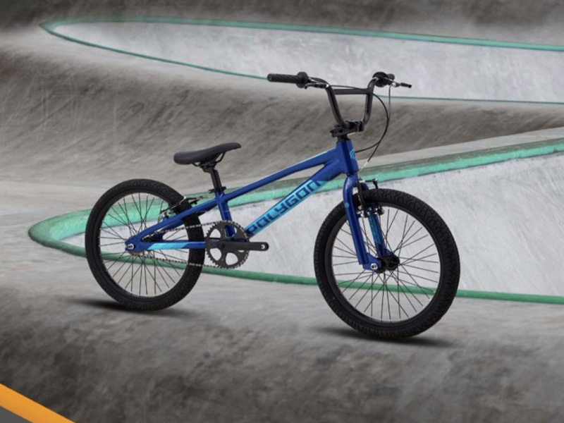Sepeda anak Polygon BMX Rogue Sepeda anak Polygon BMX Rogue