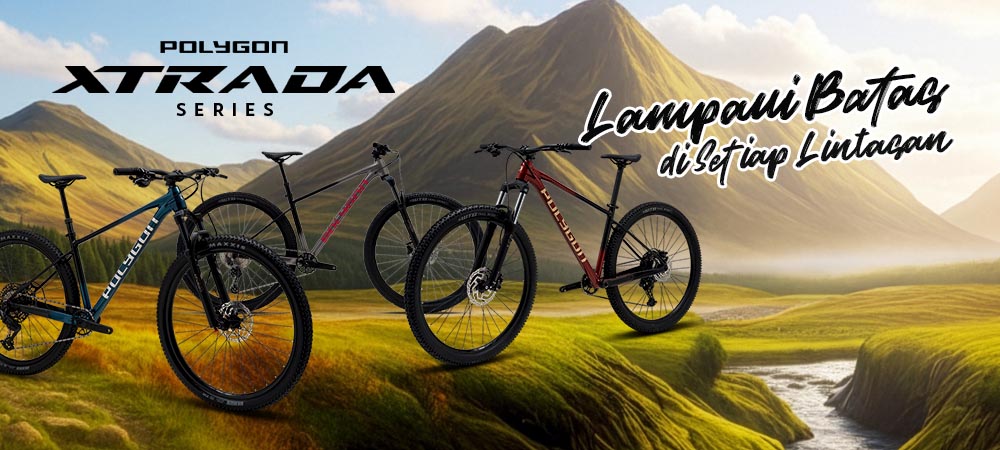 Polygon Xtrada MTB Series Polygon Xtrada MTB Series