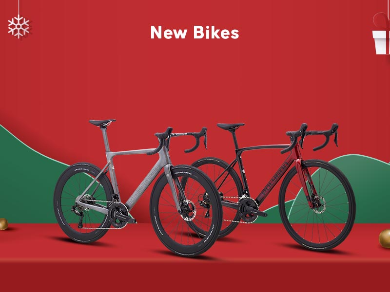 Perfect Gift: A New Bicycle Perfect Gift: A New Bicycle