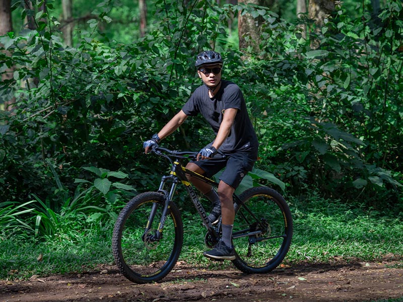 Guidelines for Sustaining Resolutions Successfully Guidelines for Sustaining Resolutions Successfully