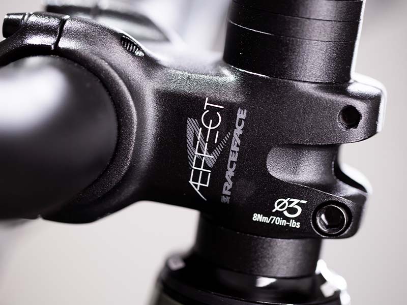 Choosing a Stem Choosing a Stem