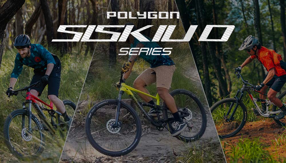 Polygon Siskiu D Series Polygon Siskiu D Series