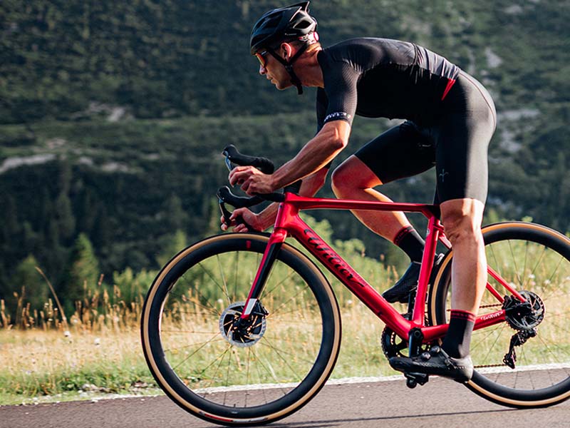 Conclusion Conclusion