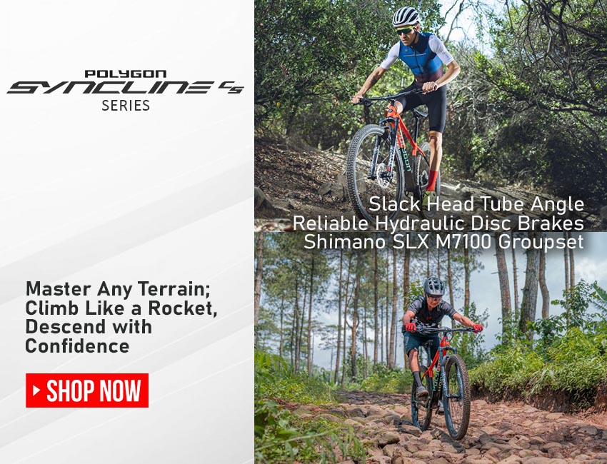 Polygon Syncline C5 Mountain Bike Polygon Syncline C5 Mountain Bike