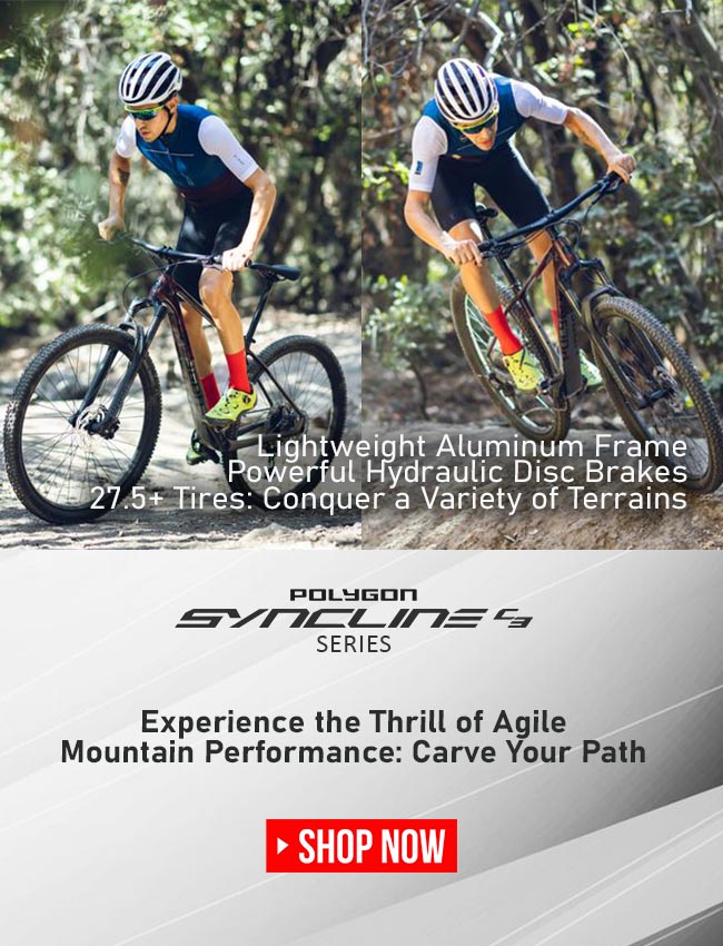 Polygon Syncline C3 Mountain Bike Polygon Syncline C3 Mountain Bike