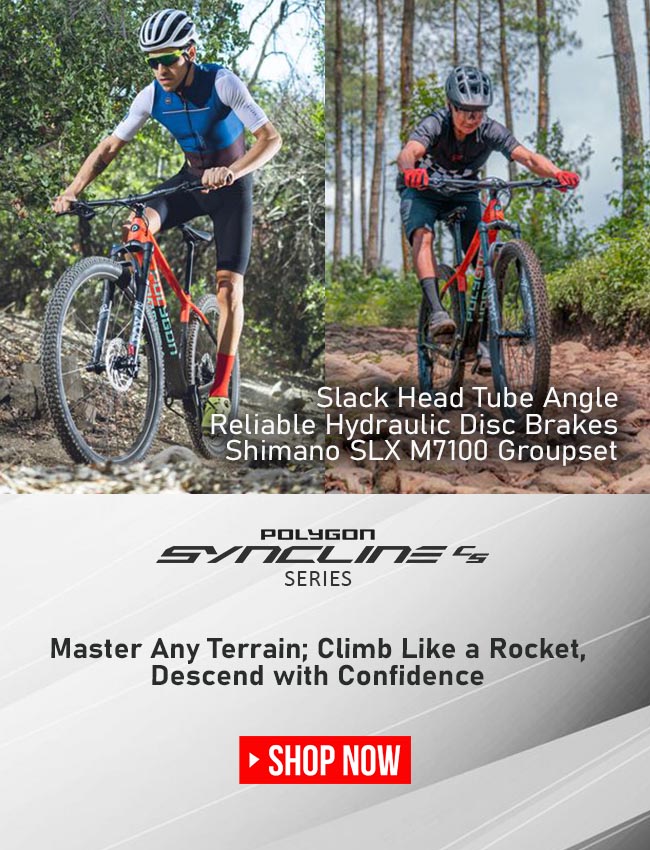 Polygon Syncline C5 Mountain Bike Polygon Syncline C5 Mountain Bike