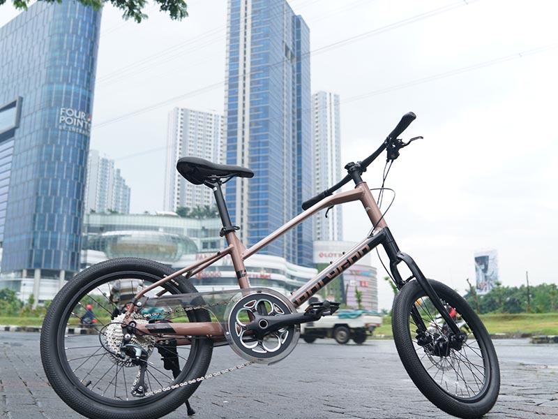 Mini Velo Bikes: unforgettable Valentine’s gift Mini Velo Bikes: unforgettable Valentine’s gift