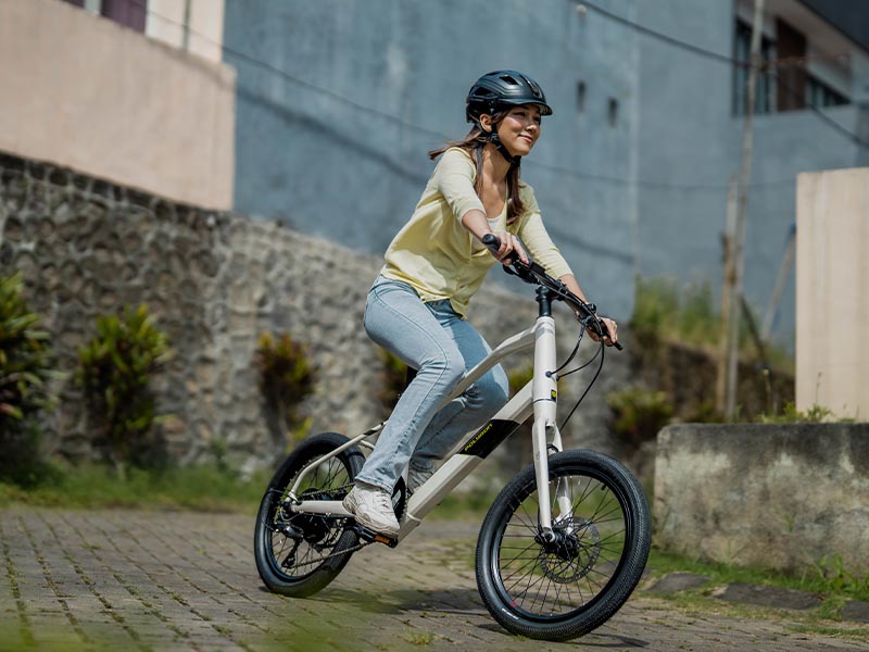 Polygon Gili Velo electric bike Polygon Gili Velo electric bike