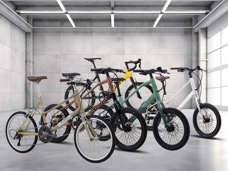 Mini velo routine maintenance Mini velo routine maintenance