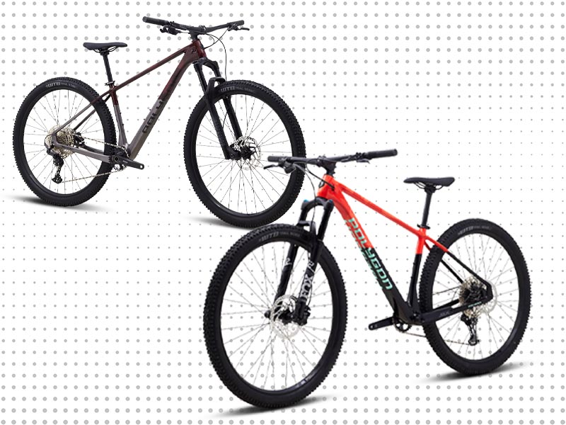 Polygon carbon mountain bike choices Polygon carbon mountain bike choices