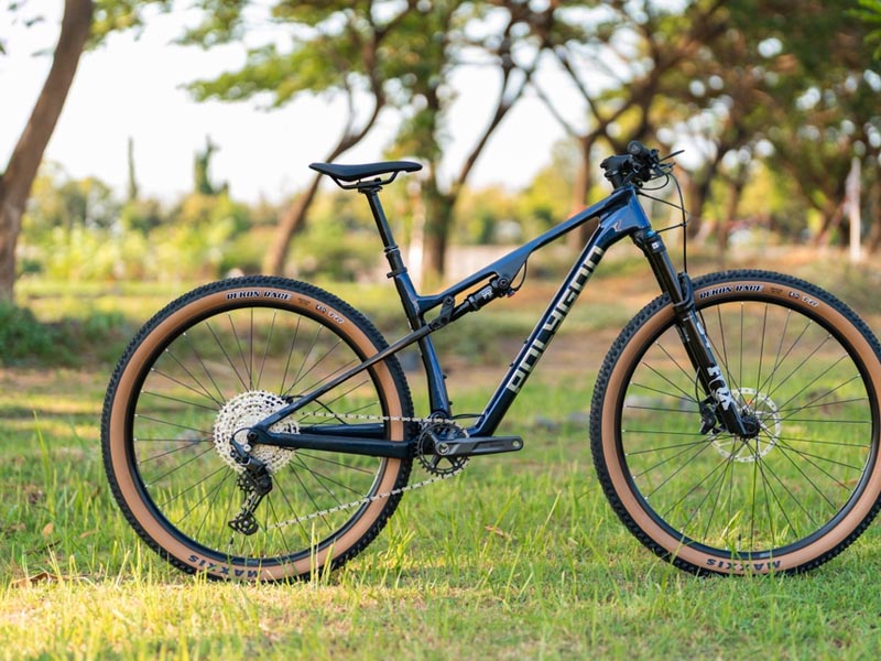 Polygon Syncline DR6 XC mountain bike Polygon Syncline DR6 XC mountain bike