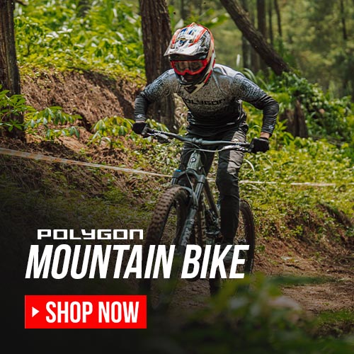 Polygon Mountain Bike Polygon Mountain Bike