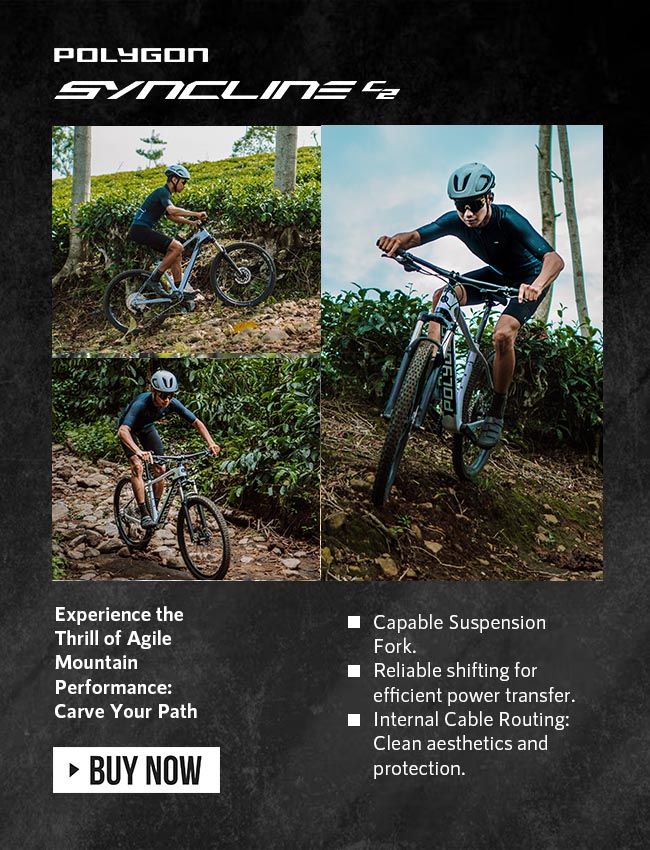 Polygon Syncline C2 Mountain Bike Polygon Syncline C2 Mountain Bike