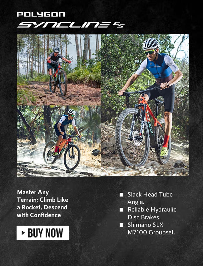 Polygon Syncline C5 Mountain Bike Polygon Syncline C5 Mountain Bike