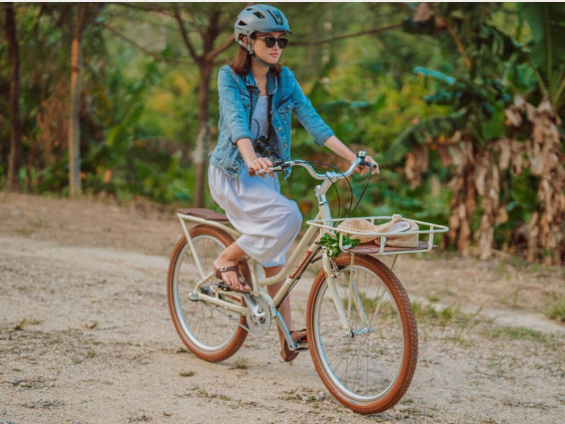 Carrier and pannier on city bike Carrier and pannier on city bike