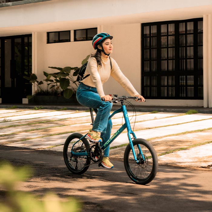 Polygon Zeta Velo Mini Velo Bike Polygon Zeta Velo Mini Velo Bike