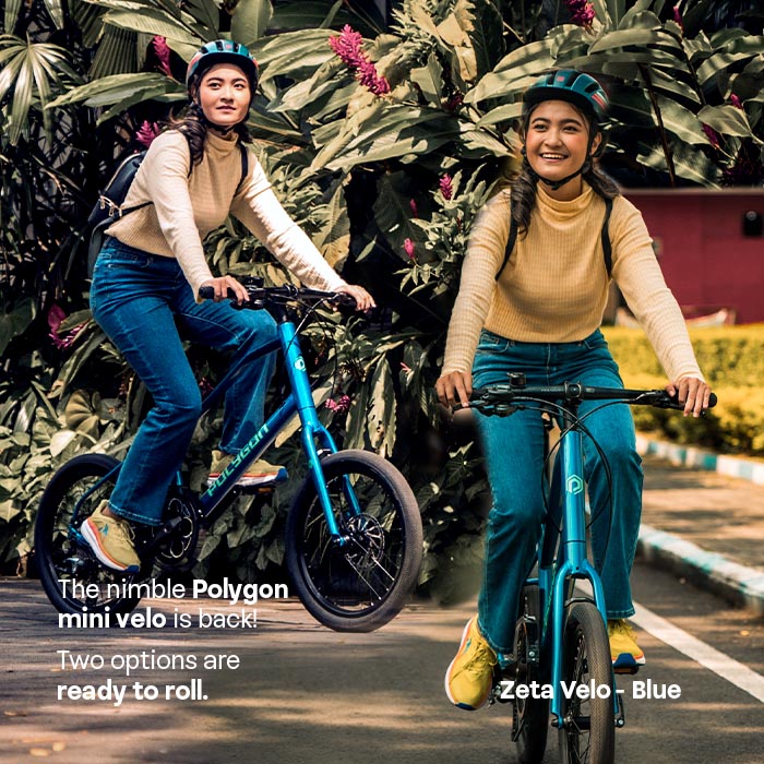 Polygon Zeta Velo Mini Velo Bike Polygon Zeta Velo Mini Velo Bike