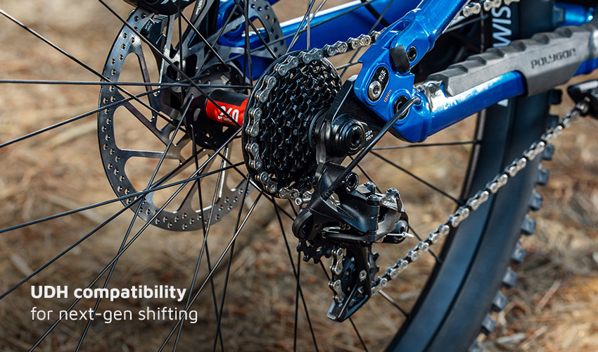 Why Polygon Collosus DH?