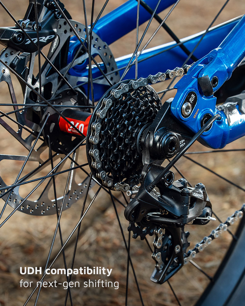 Why Polygon Collosus DH?