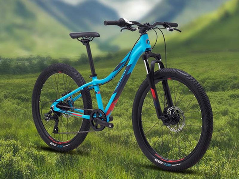 Polygon Relic 24 kids bike Polygon Relic 24 kids bike