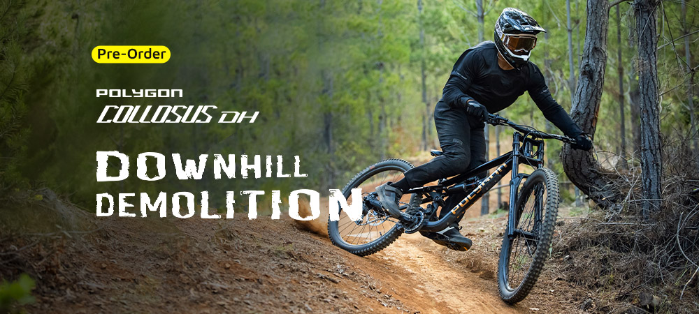 Polygon Collosus DH Pre-Order
