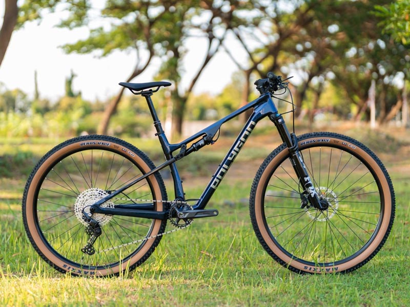 Polygon Syncline DR6 MTB Polygon Syncline DR6 MTB