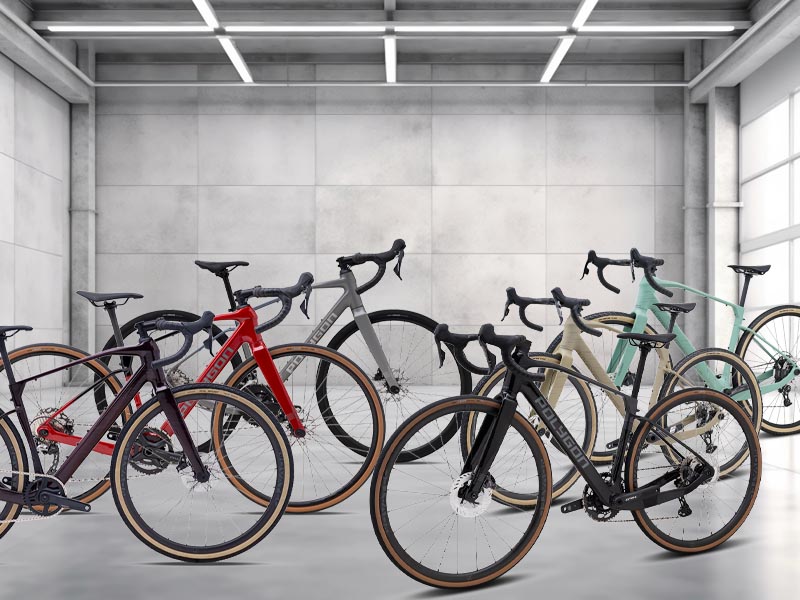 Polygon Tambora gravel bike series Polygon Tambora gravel bike series