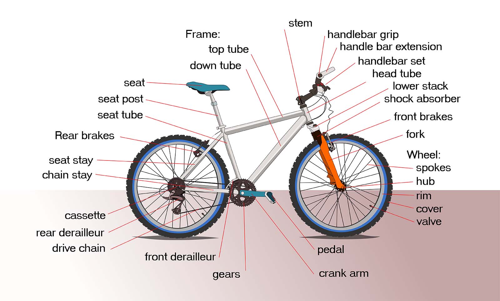 BICYCLE ANATOMY BICYCLE ANATOMY