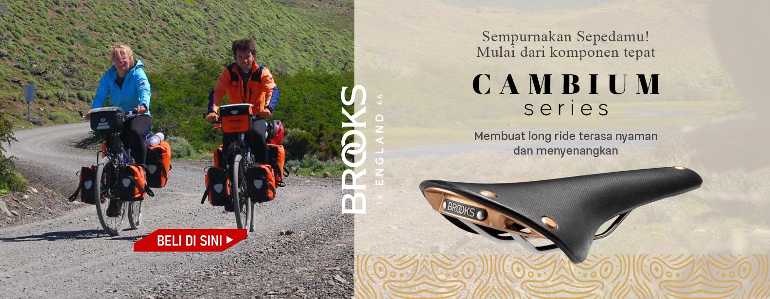 Brooks Cambium Series Brooks Cambium Series